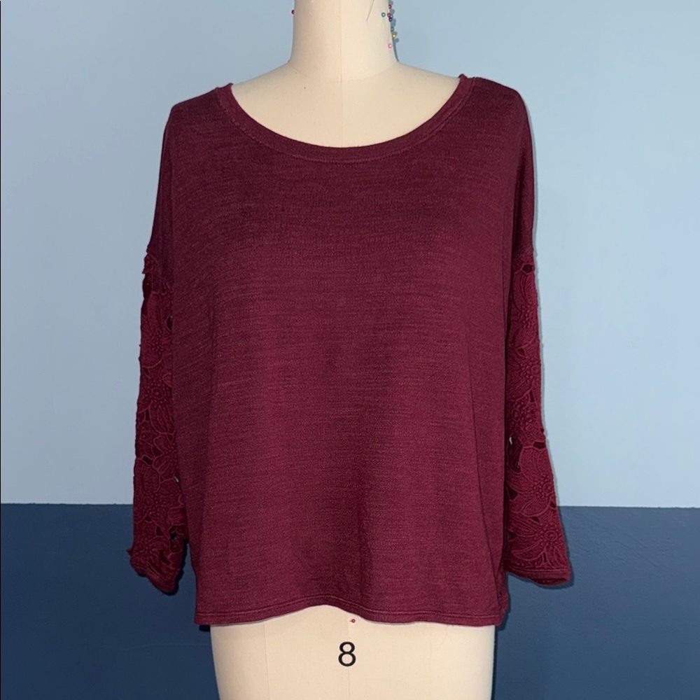 Cropped American Eagle Outfitters top with lace sleeves and open back
